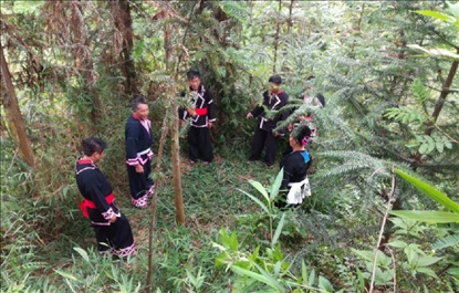 “瑤老”人民調解員翻山越嶺開展現(xiàn)場調解。