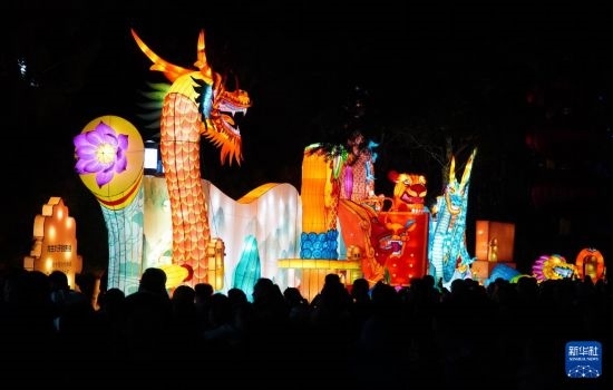 2月11日晚，人們?cè)跐?jì)南市趵突泉公園觀(guān)賞花燈。