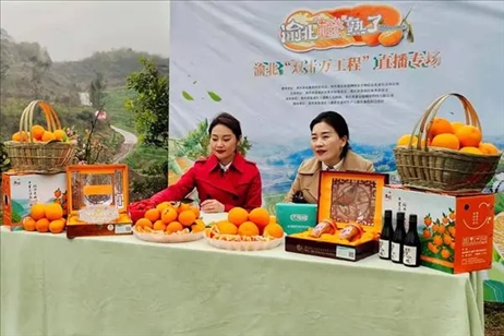 2021年2月26日，在重慶渝北區(qū)大盛鎮(zhèn)青龍村舉辦的直播活動現(xiàn)場。