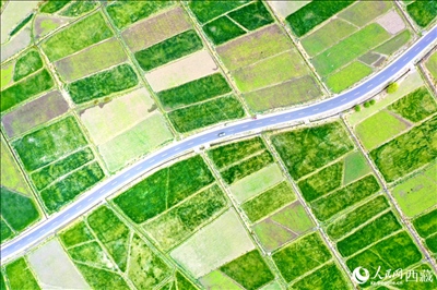 無人機視角下的西藏山南市瓊結(jié)農(nóng)田。人民網(wǎng)記者 次仁羅布攝