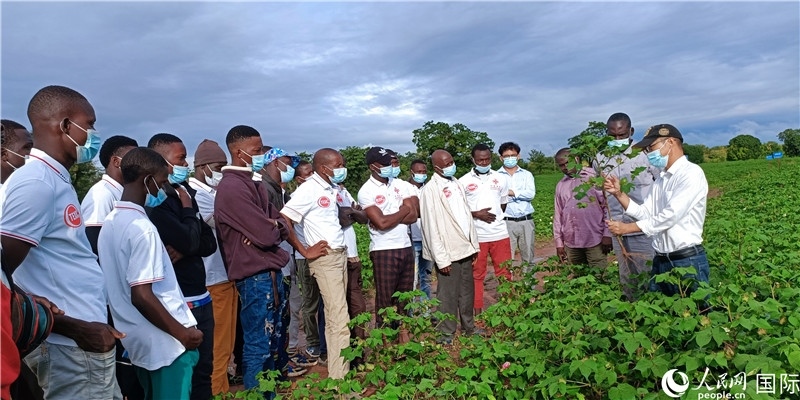 項(xiàng)目組長首小勇向當(dāng)?shù)孛揶r(nóng)做技術(shù)講解。人民網(wǎng)記者 黃培昭攝