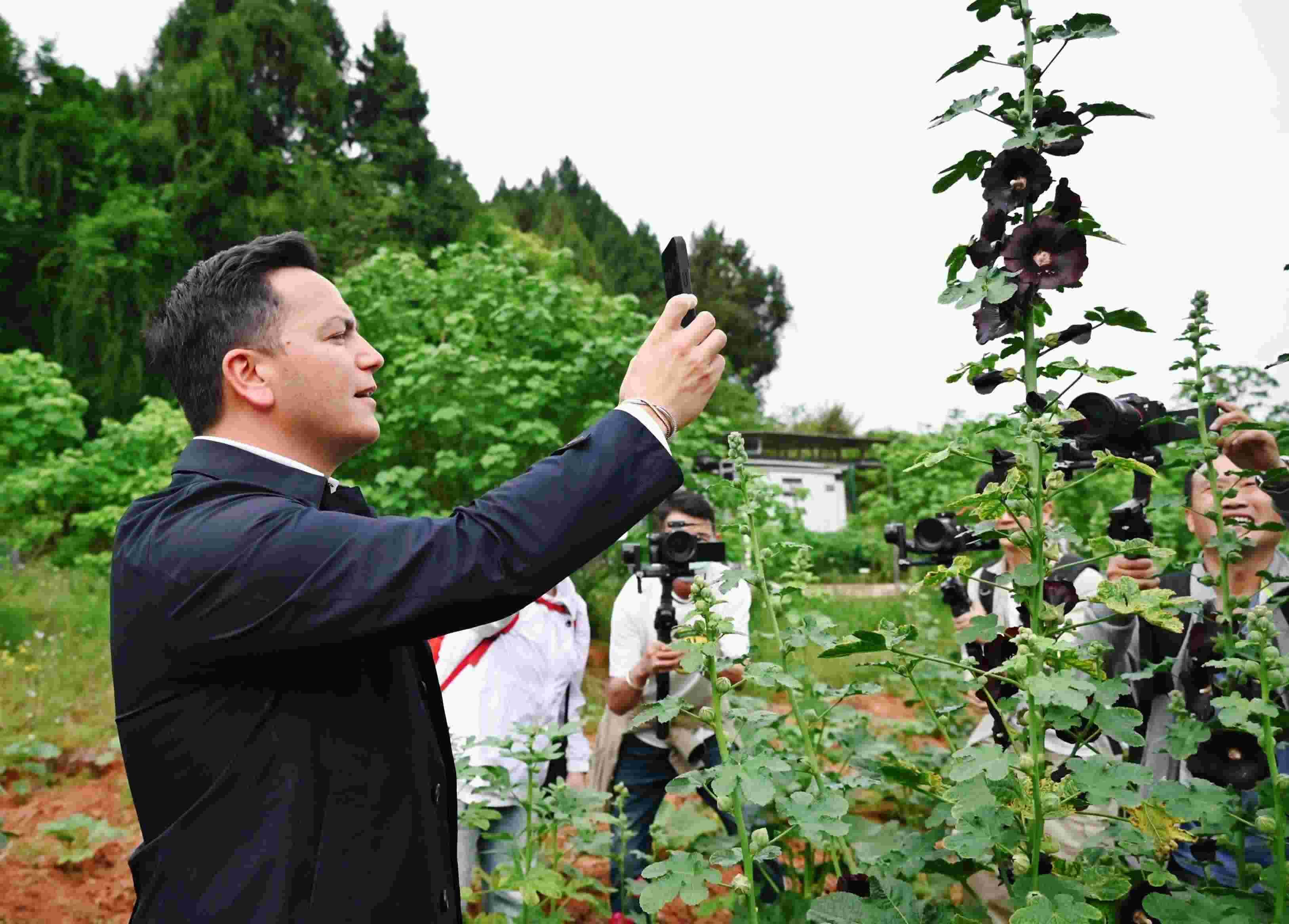  △2024年4月23日，國(guó)際園藝生產(chǎn)者協(xié)會(huì)主席萊昂納多·卡皮塔尼奧在成都市金堂縣鮮花山谷景區(qū)考察蜀葵產(chǎn)業(yè)。