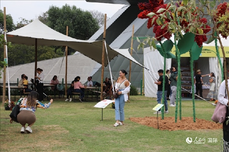 坎波·馬特活動現(xiàn)場。埃內(nèi)斯托·多明戈斯攝