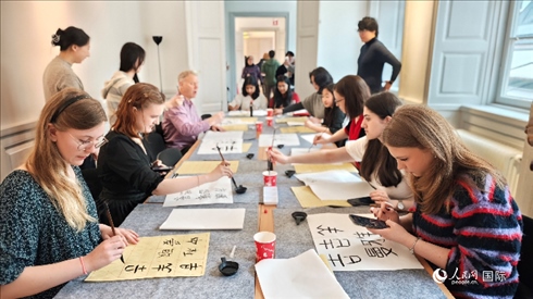 瑞典書法愛好者專心學(xué)習(xí)書法。人民網(wǎng)記者 殷淼攝