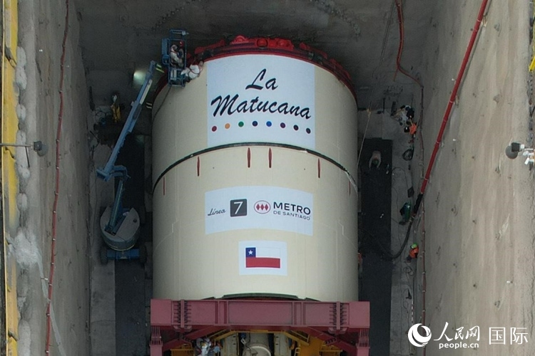 質構機全景。陳露明攝