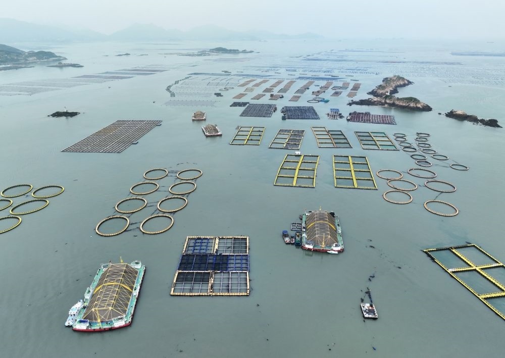 在福建連江定海灣海域，坐落著“定海灣1號(hào)”“定海灣2號(hào)”等深遠(yuǎn)海養(yǎng)殖平臺(tái)（2024年5月7日攝，無(wú)人機(jī)照片）。新華社記者 林善傳 攝