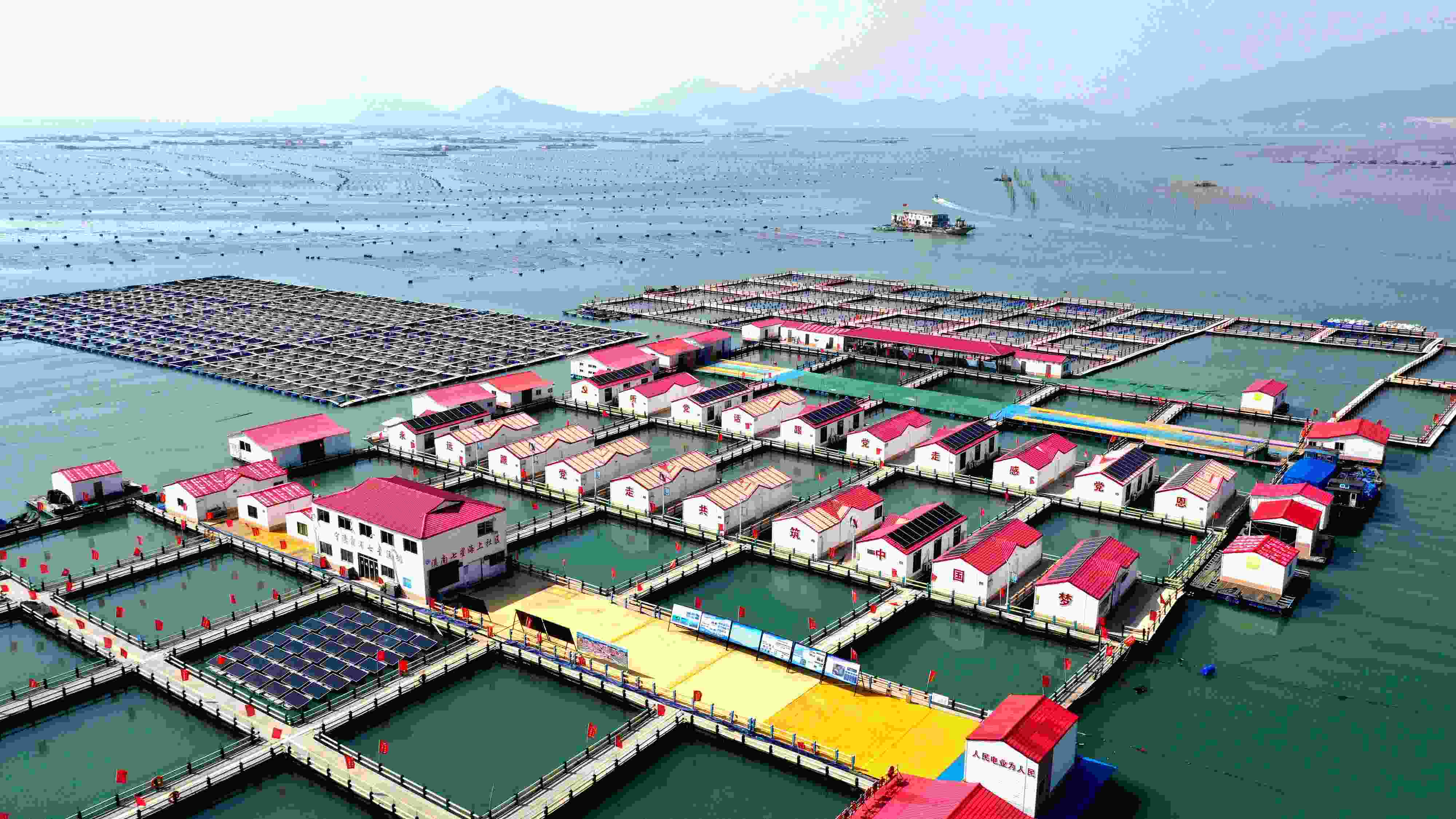 2024年3月20日，福建省寧德市，霞浦縣溪南鎮(zhèn)七星村漁排養(yǎng)殖示范區(qū)，漁民駕駛養(yǎng)殖船進(jìn)行海參養(yǎng)殖作業(yè)。