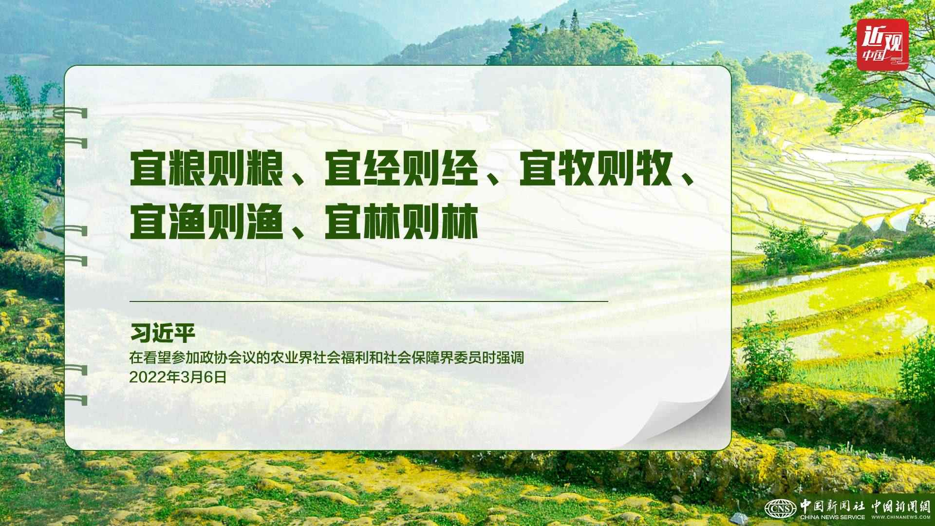 習(xí)近平：樹立大食物觀，構(gòu)建多元化食物供給體系