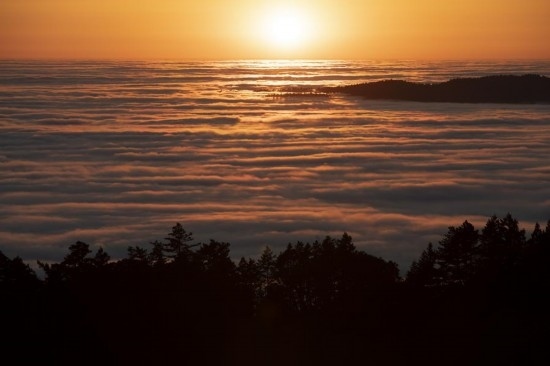 這是5月14日在美國(guó)加利福尼亞州馬林縣拍攝的云海。新華社發(fā)（李建國(guó)攝）