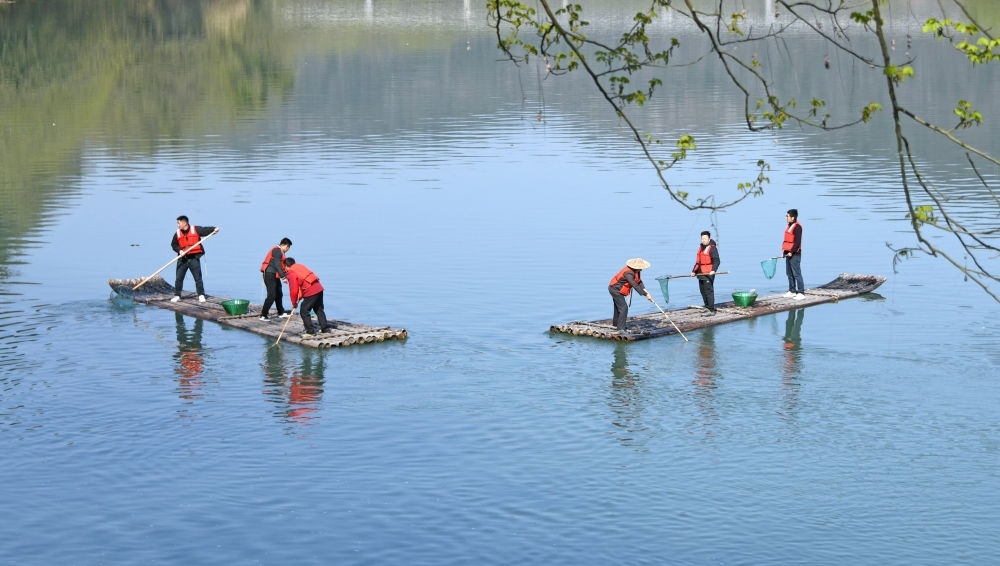 浙江省臺(tái)州市仙居縣步路鄉(xiāng)黨員志愿者與河長(zhǎng)一起在永安溪巡河護(hù)水，清理雜物垃圾（2024年3月20日攝）。新華社發(fā)（王華斌攝）