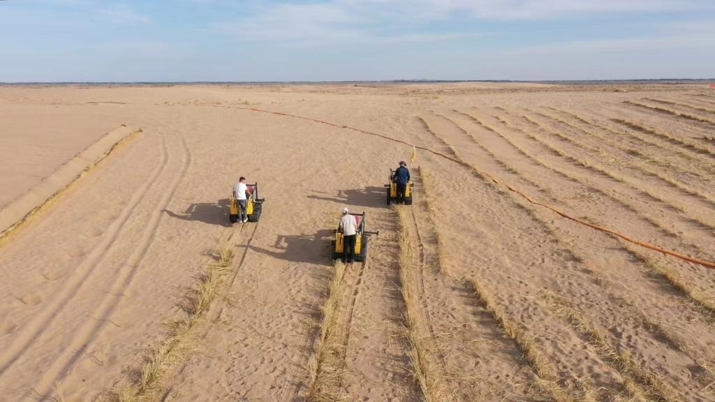 內(nèi)蒙古巴彥淖爾市烏拉特后旗西補隆林業(yè)管護中心職工駕駛機械鋪設(shè)壓沙障。新華社記者 李云平 攝