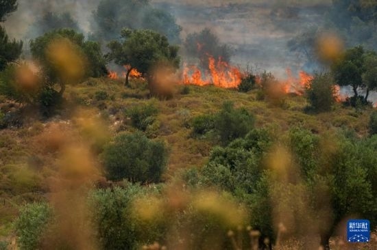 6月12日，以色列北部加利利地區(qū)遭受火箭彈襲擊后冒出滾滾濃煙。新華社發(fā)（阿亞爾·馬戈林?jǐn)z/基尼圖片社）