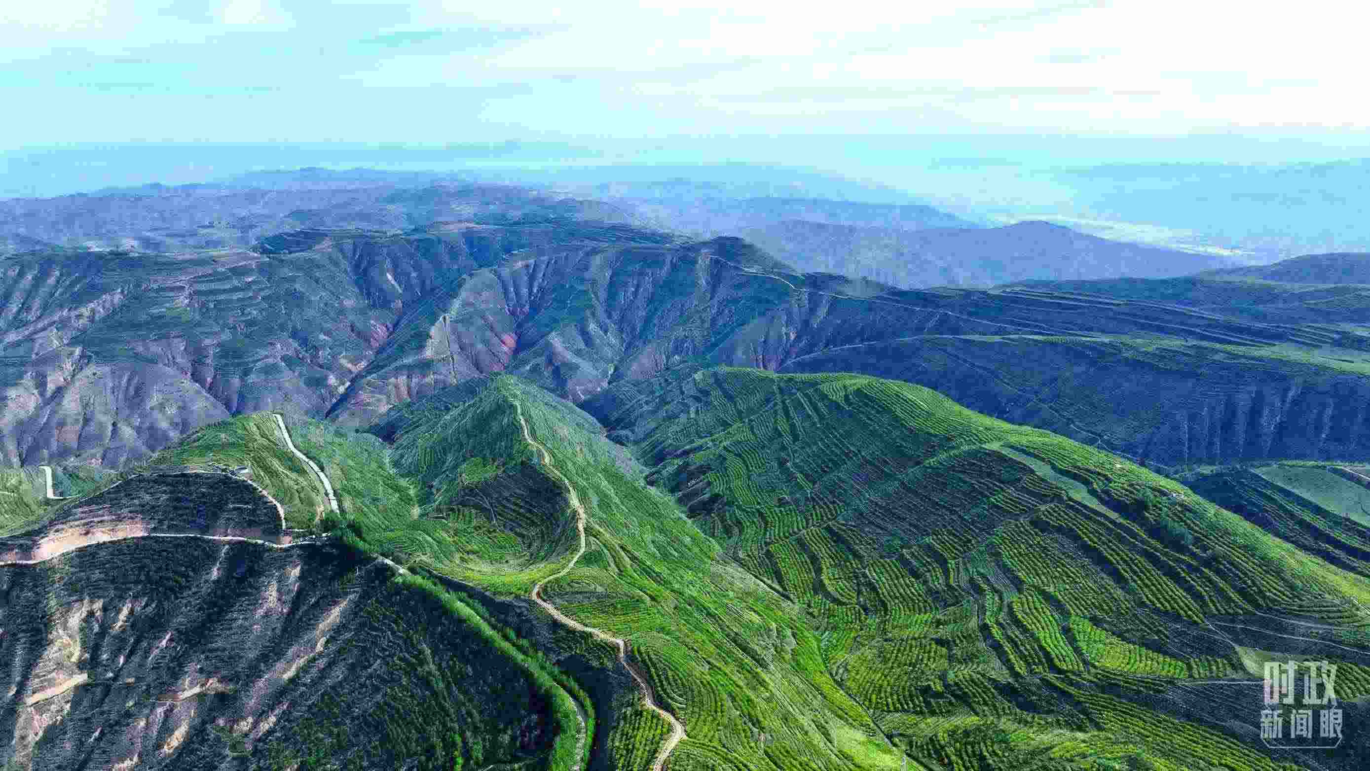 △青海西寧。（總臺記者柳成拍攝）