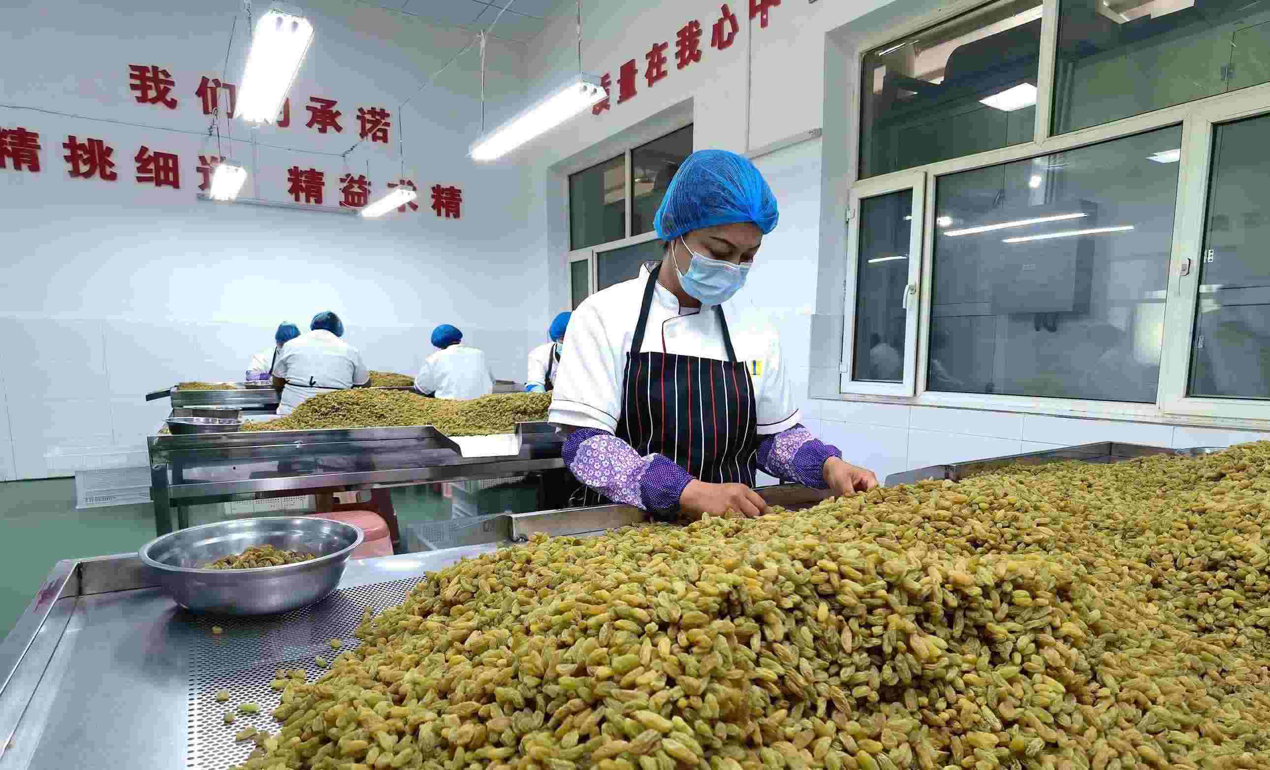 新疆吐魯番市高昌區(qū)亞爾鎮(zhèn)新城西門村，村民們在分揀葡萄干。