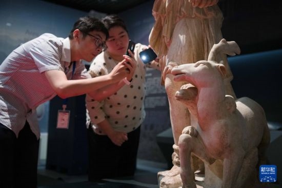 7月2日，安徽博物院工作人員在拍攝開箱后的古希臘文物。新華社記者 張端 攝