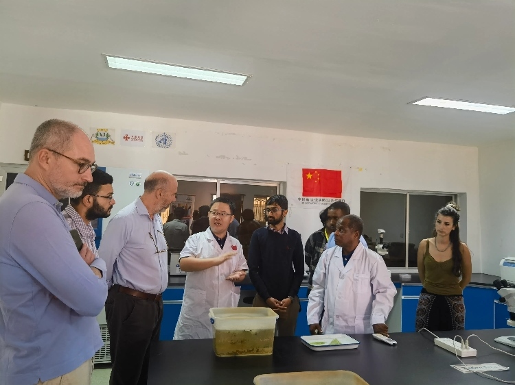 活動現(xiàn)場。專家組供圖