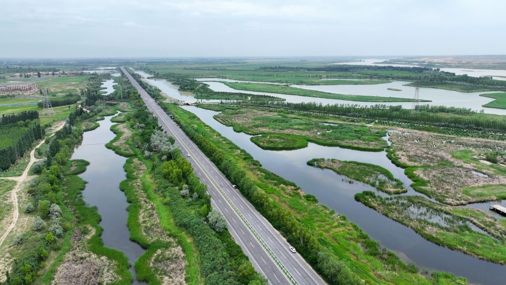這是2024年6月13日拍攝的黃河寧夏段濱河大道（無人機照片）。近年來，寧夏努力建設(shè)黃河流域生態(tài)保護(hù)和高質(zhì)量發(fā)展先行區(qū)，全力打好黃河保護(hù)持久戰(zhàn)。新華社記者 王鵬 攝