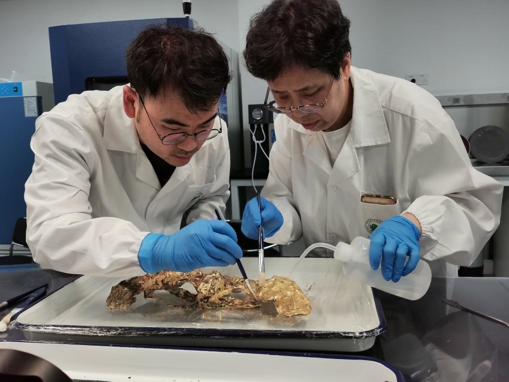 2023年7月，馬燕如（右）帶著魯海子（左）修復(fù)三星堆遺址出土的黃金面具。新華社發(fā)（四川省文物考古研究院供圖）