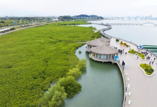 2024年1月23日拍攝的廈門市翔安區(qū)下潭尾紅樹林公園（無人機(jī)照片）。新華社記者 林善傳 攝