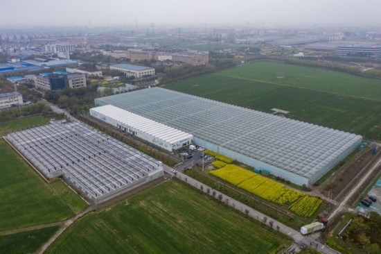 2024年3月28日，空中俯瞰嘉興南湖區(qū)湘家蕩農(nóng)業(yè)數(shù)字化工廠（無人機(jī)照片）。該農(nóng)業(yè)數(shù)字化工廠占地總面積約62畝，包含智慧農(nóng)業(yè)生產(chǎn)、物聯(lián)網(wǎng)智能管理、自動(dòng)分揀包裝、保鮮儲(chǔ)藏物流、高科技示范展示等五大功能區(qū)，可直接或間接培養(yǎng)帶動(dòng)新型職業(yè)技術(shù)農(nóng)民500人以上。新華社記者 徐昱 攝