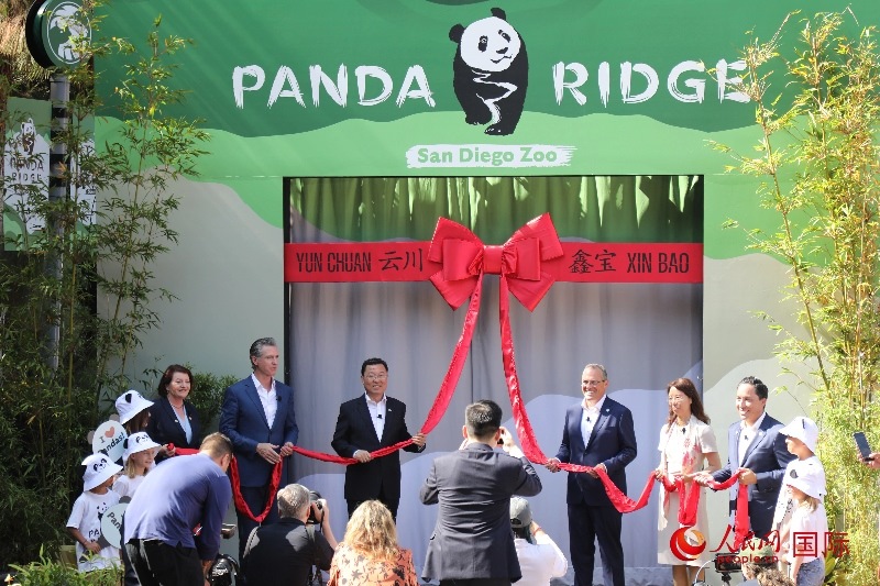 1、中國(guó)駐美國(guó)大使謝鋒、加州州長(zhǎng)紐森、圣迭戈市市長(zhǎng)格洛利亞等人共同為“熊貓嶺”開(kāi)館剪彩。 人民網(wǎng)記者 李志偉攝