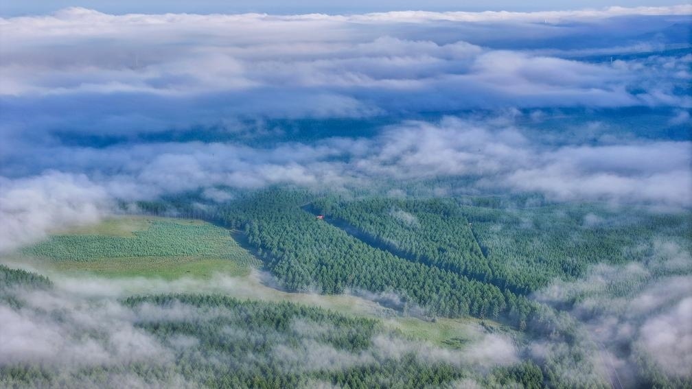 2024年7月26日拍攝的塞罕壩國家級自然保護(hù)區(qū)景色。新華社發(fā)（劉滿倉 攝）