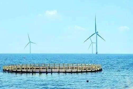 △山東萊州風(fēng)電項(xiàng)目實(shí)現(xiàn)了海上風(fēng)電和海洋牧場融合發(fā)展。