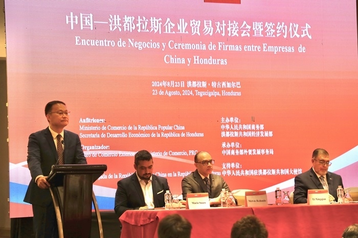 中國(guó)商務(wù)部外貿(mào)司司長(zhǎng)李興乾發(fā)表講話。埃內(nèi)斯托·多明戈斯攝