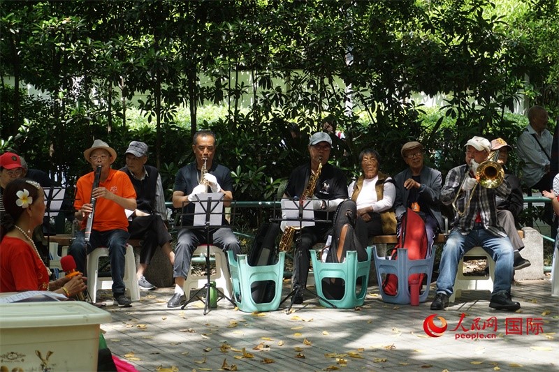 成都居民在公園里演奏歌曲。人民網(wǎng) 王禹蘅攝