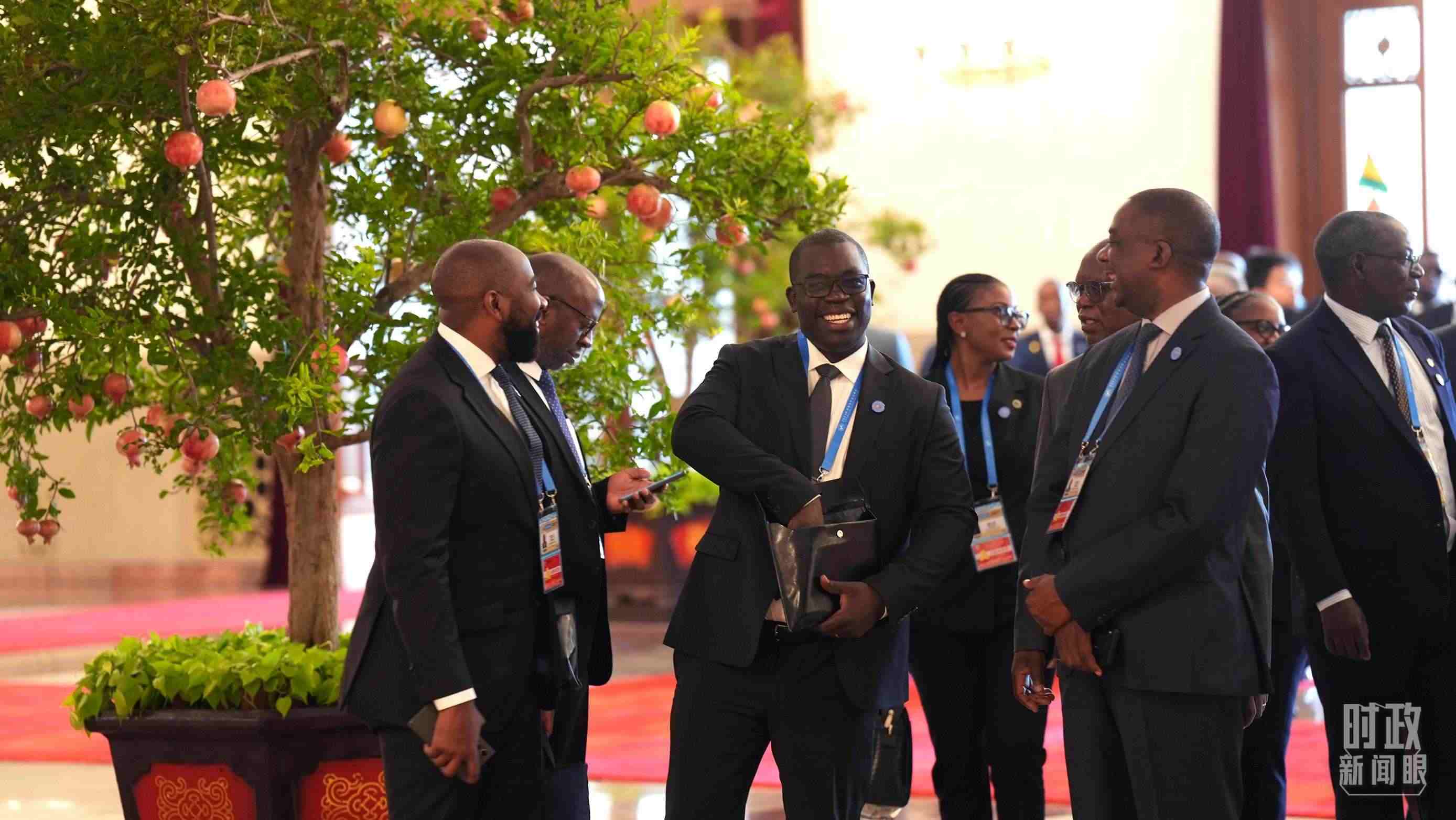 出席中非合作論壇北京峰會(huì)的非洲國(guó)家代表。（總臺(tái)記者李晉拍攝）