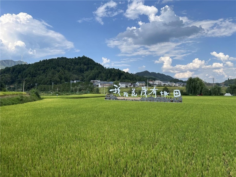 青瓦白磚的黔北民居、風(fēng)中搖曳的稻田、抬手可觸的大片云朵……才剛下車，格魯吉亞“經(jīng)濟(jì)中心網(wǎng)”總編輯莉安娜·喬爾喬利亞尼就被眼前的景色拖住了步履，喃喃細(xì)語(yǔ)：“實(shí)在太美了，讓我內(nèi)心平靜，在這里生活一定非常安逸和幸福。”（邱輝攝）