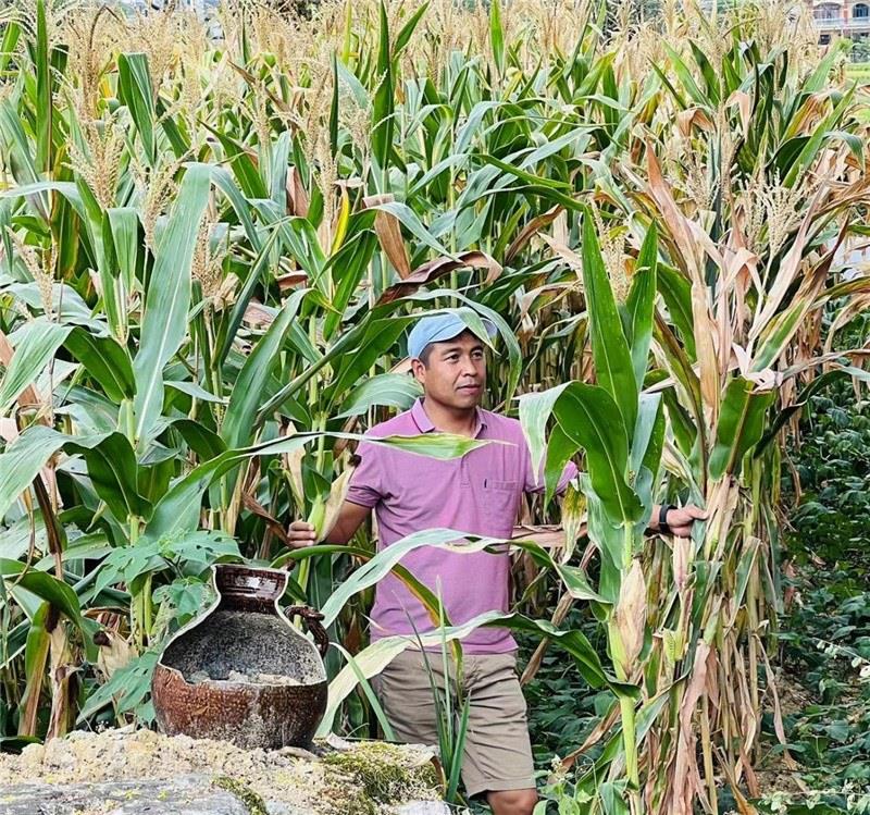 不是攀登石林高臺(tái)，就是鉆入玉米莊稼地，吉爾吉斯斯坦《自由之山報(bào)》總編輯納拉雷·阿桑巴耶夫“身手不凡”，與生長(zhǎng)旺盛的玉米構(gòu)成了花茂村的鄉(xiāng)間野趣。（張亞欣攝）