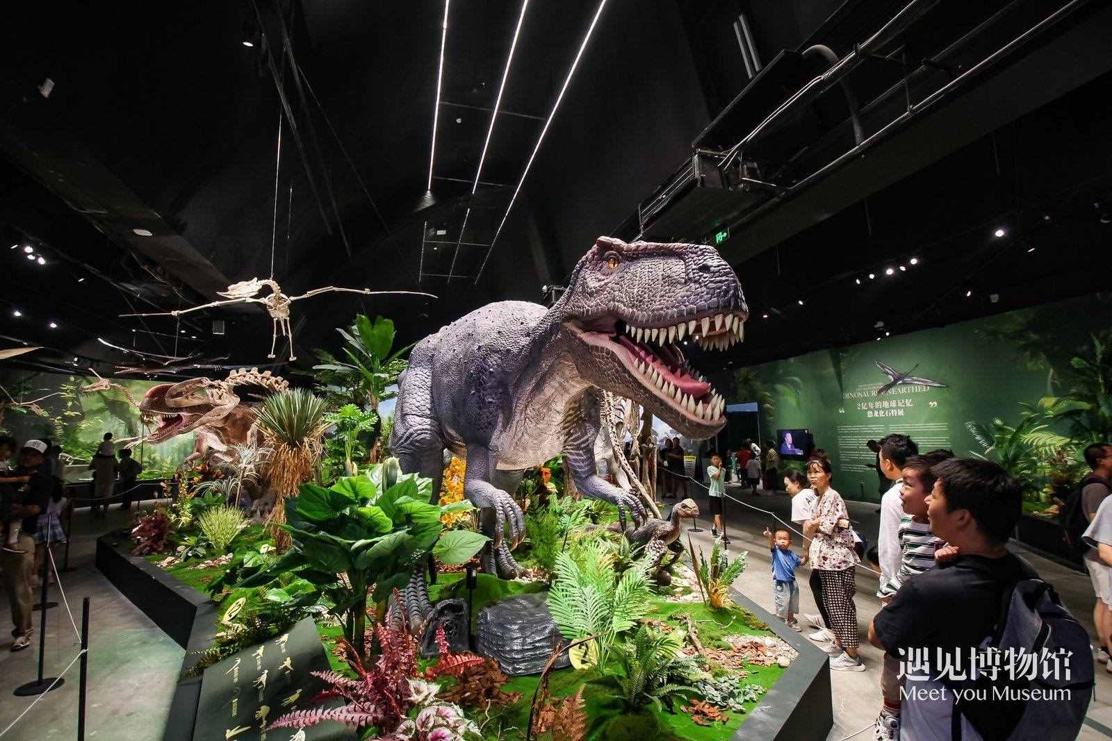 2. 游客參觀“2億年的地球記憶——恐龍化石特展”。遇見博物館供圖