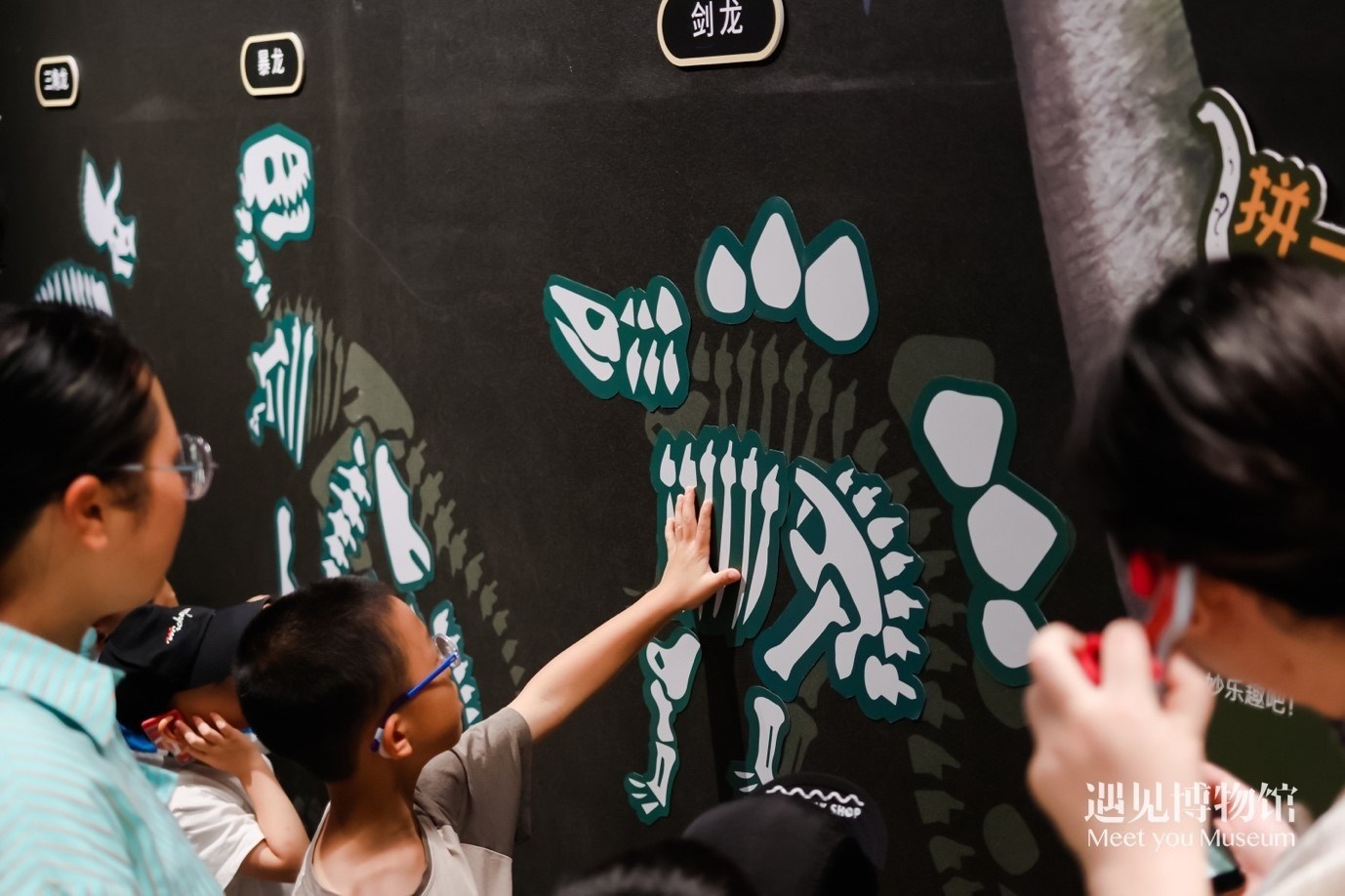 5. “2億年的地球記憶——恐龍化石特展”互動區(qū)域。遇見博物館供圖