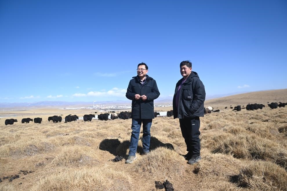 2023年2月24日，在青海省海北藏族自治州海晏縣青海湖鄉(xiāng)達(dá)玉日秀村，全國人大代表董全民（左）查看牧民東知布家的草場。新華社記者 張龍 攝