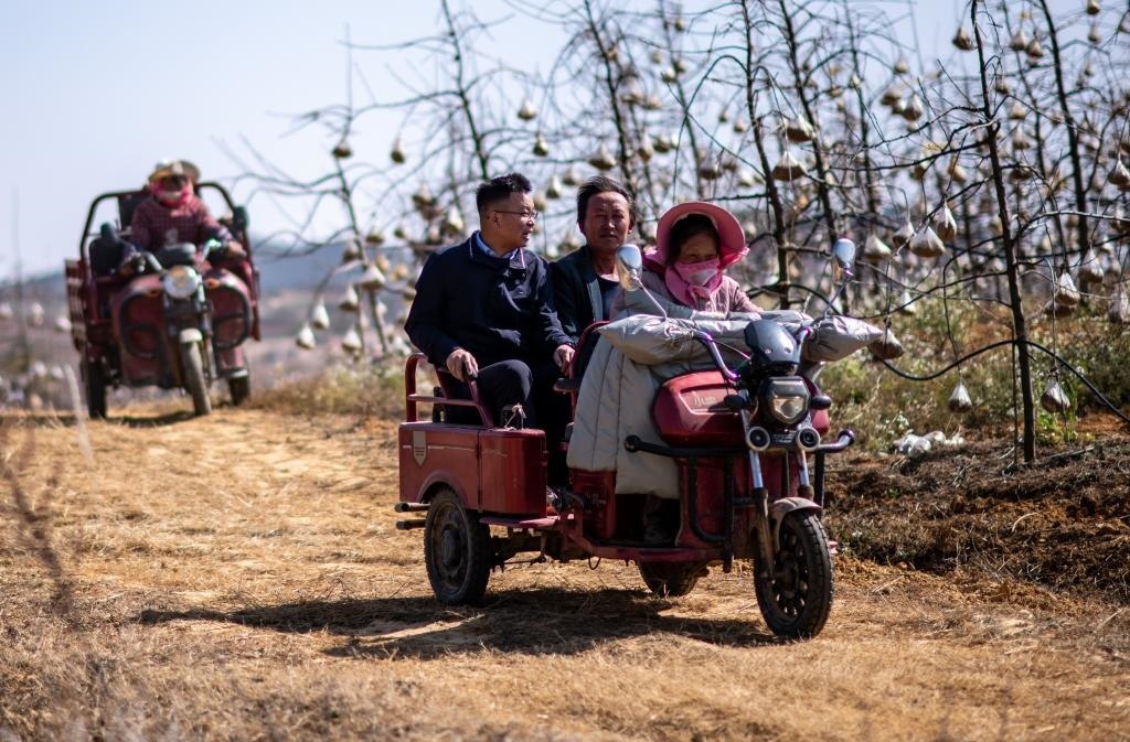 全國人大代表袁海波（右三）在云南省曲靖市馬龍區(qū)一種植基地了解務(wù)工人員就業(yè)需求（2023年2月11日攝）。新華社記者 江文耀 攝