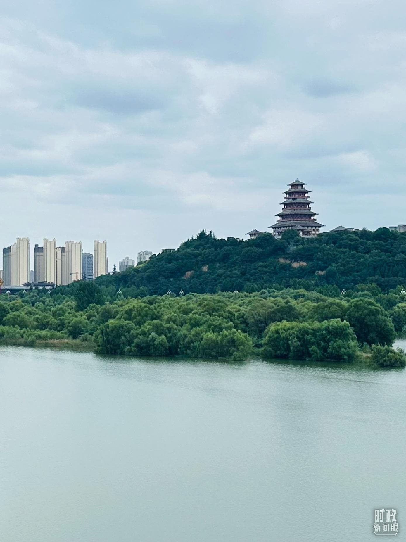 △渭河寶雞段長(zhǎng)224公里，目前建成17處渭河灘區(qū)生態(tài)涵養(yǎng)區(qū)。（總臺(tái)央視記者范一鳴拍攝）