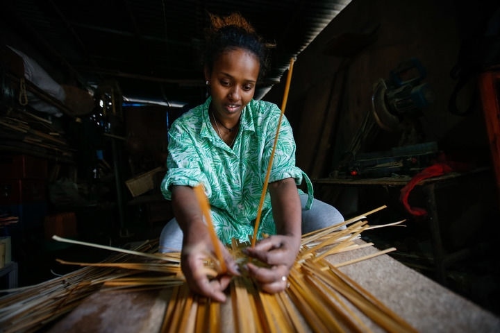 2024年8月10日，菲基爾特·加布雷在埃塞俄比亞首都亞的斯亞貝巴名為“綠色金子”的竹藤工作室里加工竹制產(chǎn)品。新華社發(fā)（邁克爾·特韋爾德 攝）