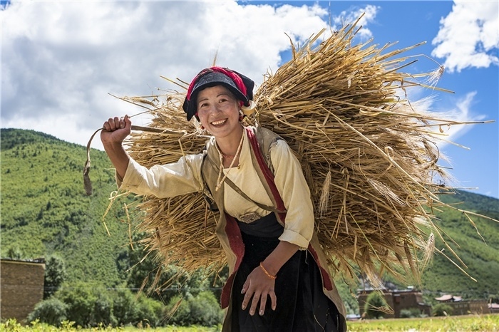 康定市甲根壩鎮(zhèn)青稞豐收，農(nóng)牧民臉上洋溢著豐收的喜悅。林革文攝