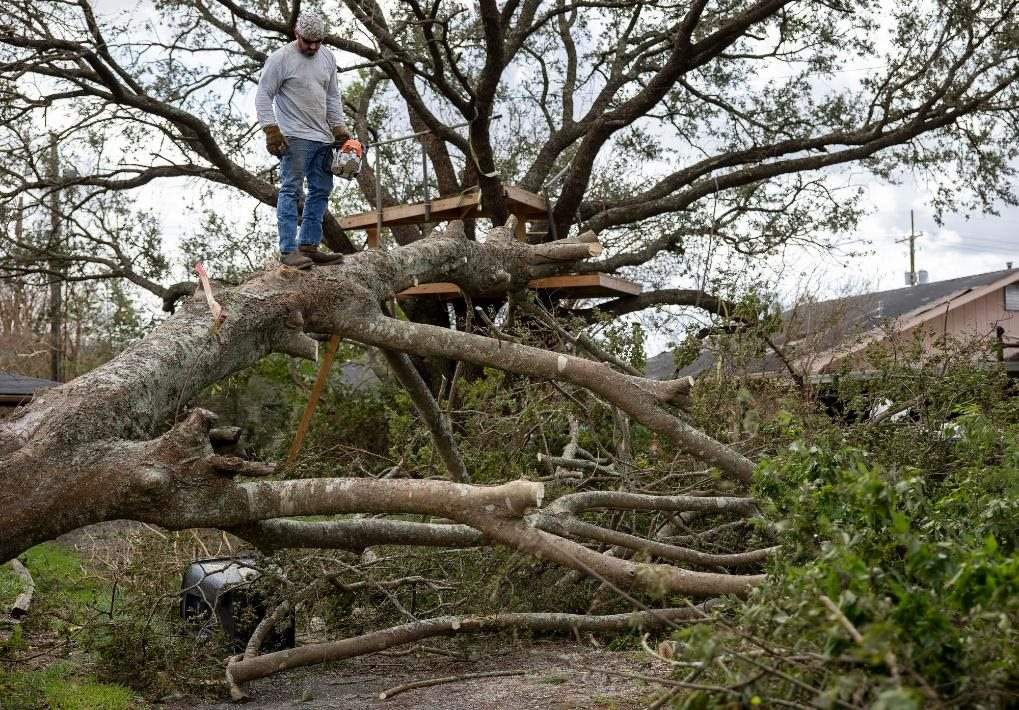 2021年8月30日，在美國路易斯安那州霍馬，一名男子站在被颶風(fēng)吹倒的大樹上。新華社發(fā)（尼克·瓦格納 攝）