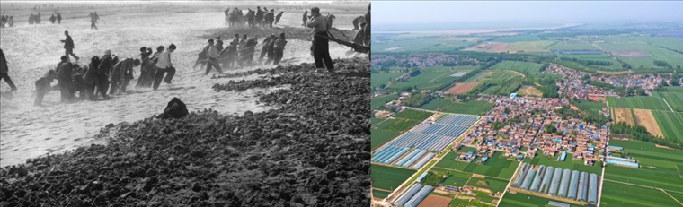 拼版照片：左圖為蘭考群眾在拉淤土壓沙（新華社記者 鄧歷耕 攝）；右圖為2024年4月25日拍攝的蘭考縣張莊村（無人機(jī)照片，新華社記者 郝源 攝）。