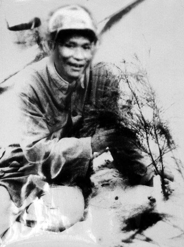 谷文昌與試種成活的木麻黃（資料照片）。為了治沙，谷文昌爬遍了東山縣400多個(gè)山頭，踏遍了30多公里的沙灘，終于帶領(lǐng)東山人民試種木麻黃成功。