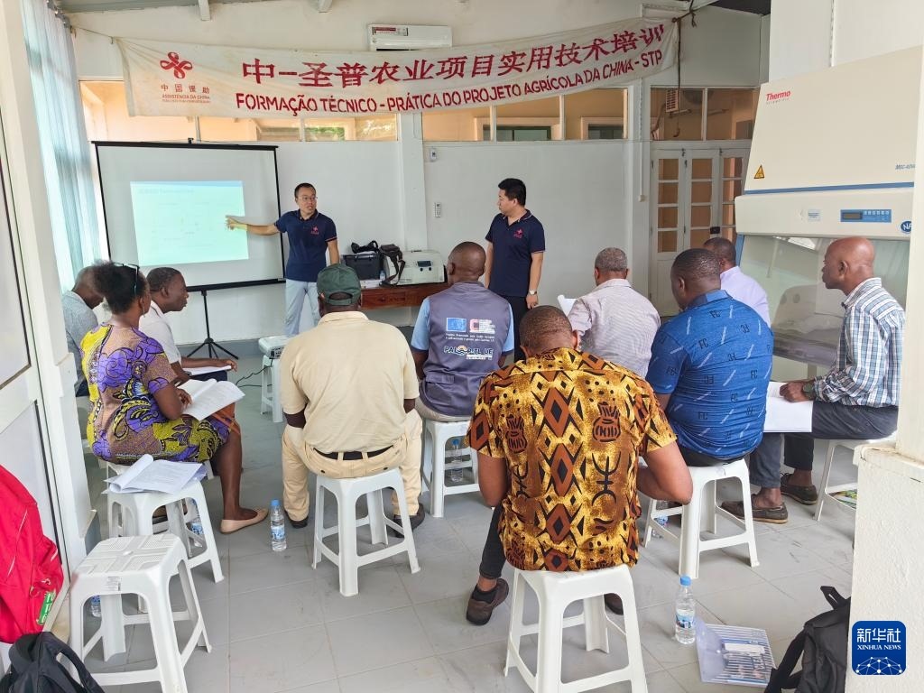 中國援圣普農(nóng)牧業(yè)技術(shù)項目組專家段振華（后左）在圣多美和普林西比的國家獸醫(yī)實驗室開展動物疫病監(jiān)測技術(shù)培訓(xùn)（2024年6月21日攝）。新華社發(fā)（中國援圣普農(nóng)技組供圖）