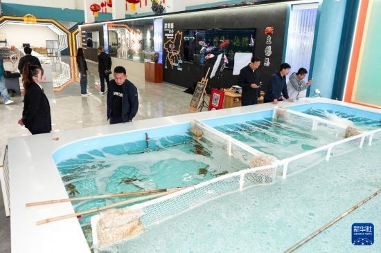 9月20日，游客在吉林省琿春市的帝王蟹保稅店內(nèi)選購帝王蟹。新華社記者 許暢 攝