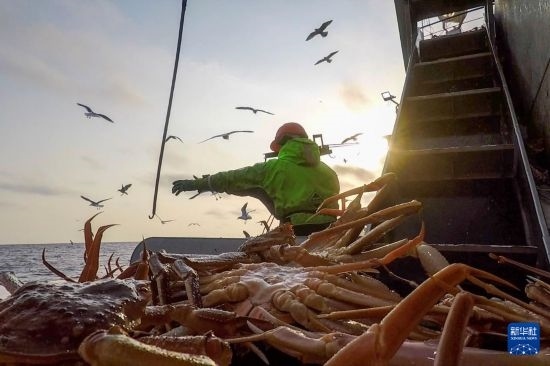 這是俄羅斯蟹業(yè)集團(tuán)工作人員進(jìn)行遠(yuǎn)洋捕撈的資料照片。新華社發(fā)（俄羅斯蟹業(yè)集團(tuán)供圖）