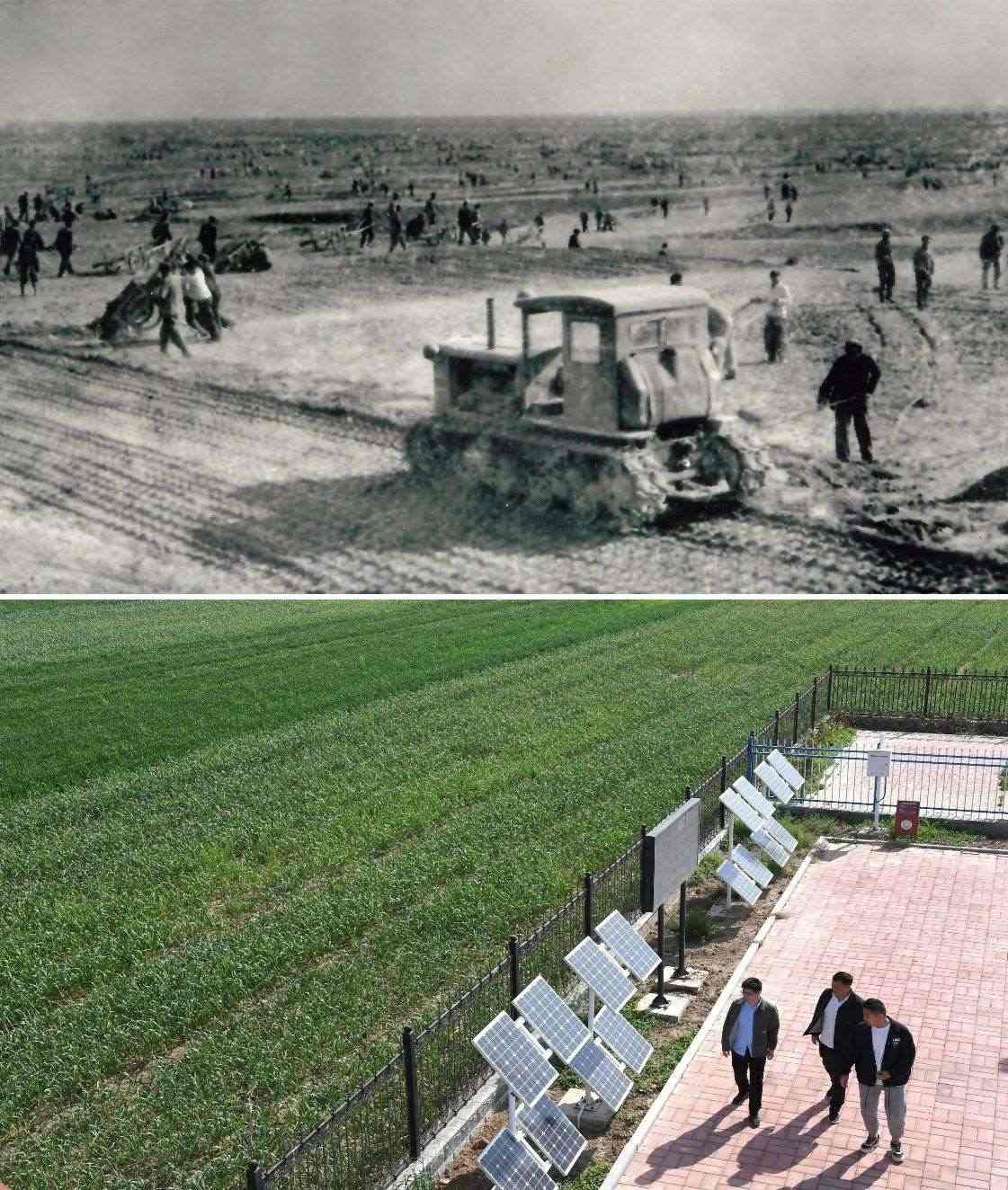 上圖為二十世紀(jì)六十年代蘭考改造鹽堿地的情景（資料照片）；下圖為2024年4月18日拍攝的蘭考縣紅廟鎮(zhèn)高標(biāo)準(zhǔn)農(nóng)田示范區(qū)。（新華社記者 朱祥 攝）