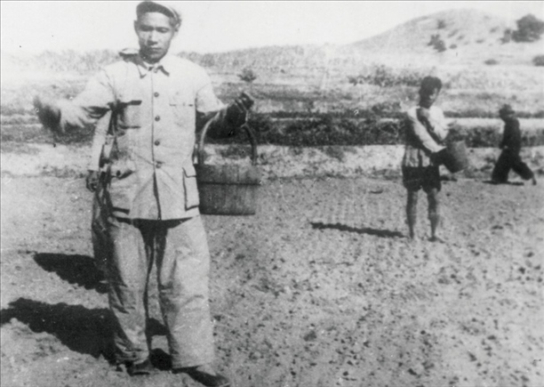 △ 谷文昌在福建省東山縣坑北村參加播種。