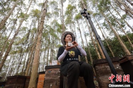 吳素英在網(wǎng)絡(luò)平臺(tái)直播介紹蜜蜂和養(yǎng)蜂情況。湯曉逵 攝