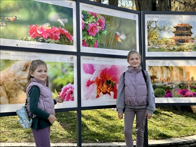 活動(dòng)現(xiàn)場(chǎng)。中國(guó)駐保加利亞大使館供圖。