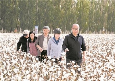 李召虎團(tuán)隊成員在棉田了解試驗情況。 受訪單位供圖